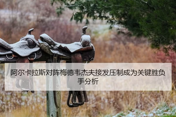a-er-ka-la-si-dui-zhen-mei-de-wei-jie-fu-jie-fa-ya-zhi-cheng-wei-guan-jian-sheng-fu-shou-fen-xi-2-480.jpg
