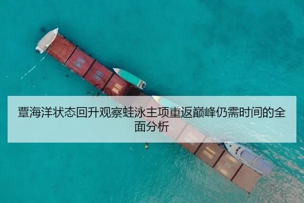 覃海洋状态回升观察蛙泳主项重返巅峰仍需时间的全面分析