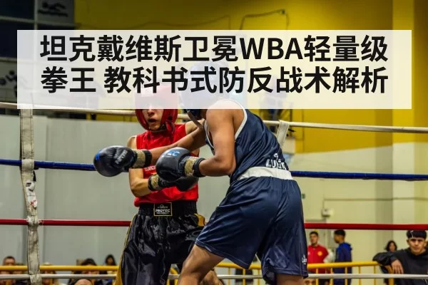 坦克戴维斯卫冕WBA轻量级拳王 教科书式防反战术解析